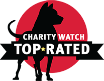 Charity Watch: Top Rated