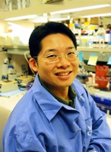 Yin Wang, PhD
