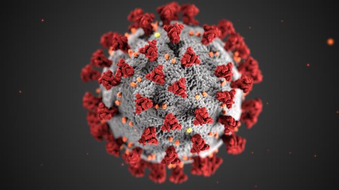 Up close version of coronavirus 