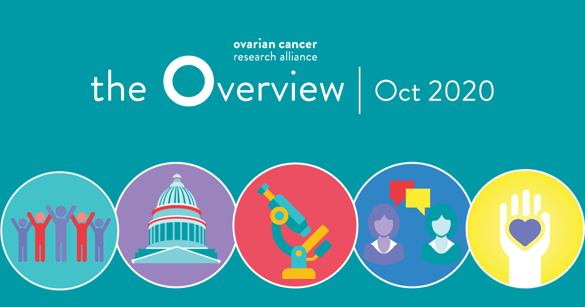 The Overview: October 2020