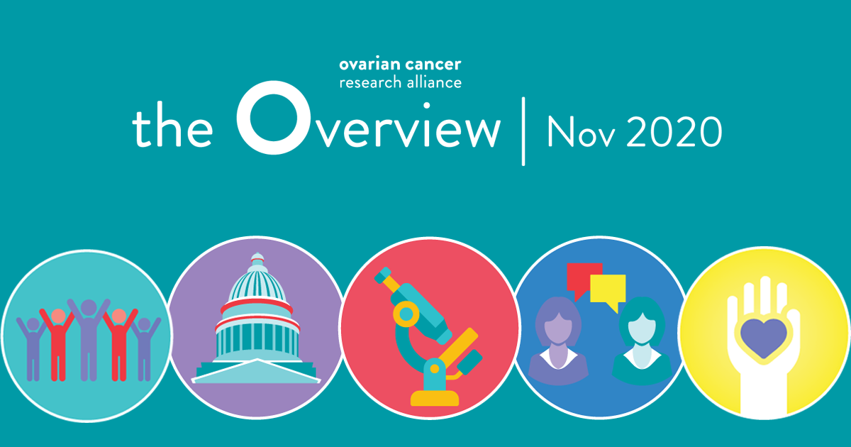 The Overview: November 2020