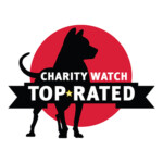 charity watch top rated